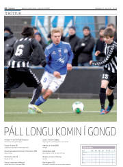 Síða 22