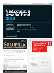 Síða 29