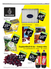 Síða 3