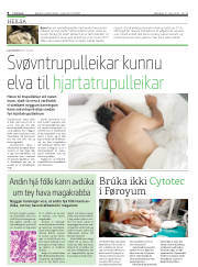Síða 8
