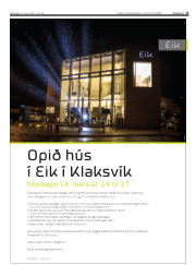 Síða 13