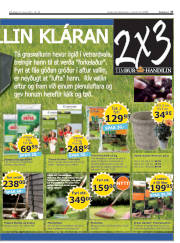 Síða 27