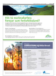 Síða 29