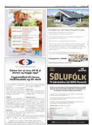 Síða 31