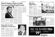 Síða 3