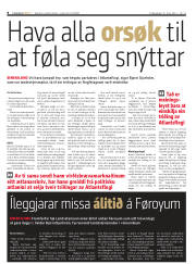 Síða 8