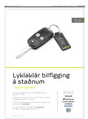 Síða 11
