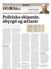 Síða 17