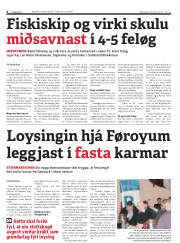 Síða 6