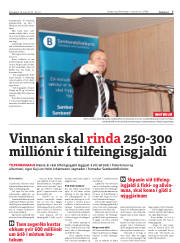 Síða 7
