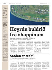 Síða 8