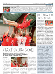 Síða 17