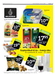 Síða 3