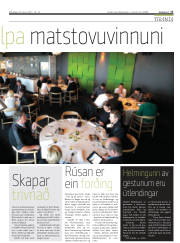 Síða 17