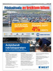 Síða 25