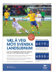 Síða 29
