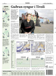 Síða 17