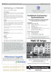 Síða 22