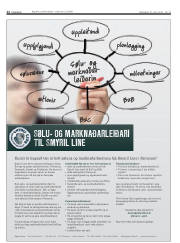 Síða 12