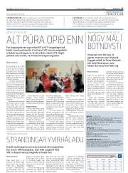 Síða 17