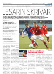 Síða 21