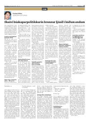 Síða 23
