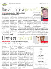 Síða 6