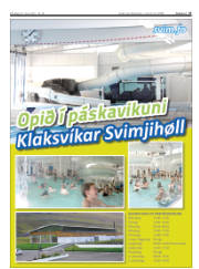 Síða 17