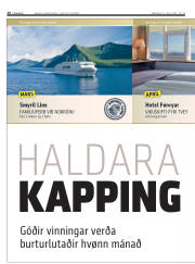 Síða 20