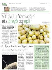 Síða 28