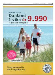 Síða 29
