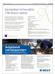 Síða 31