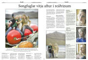 Síða 14