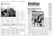 Síða 17