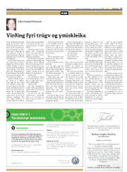 Síða 17