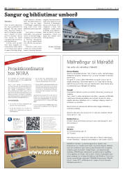 Síða 22