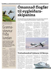 Síða 4