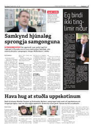 Síða 5