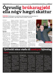 Síða 7