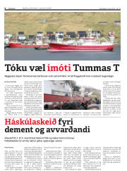 Síða 8