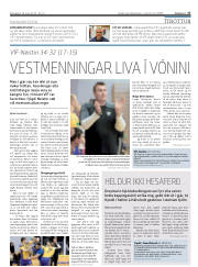 Síða 17