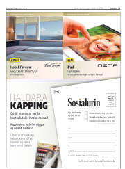 Síða 27