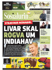 Síða 1