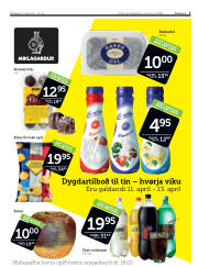 Síða 3
