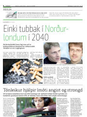 Síða 8