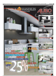 Síða 19