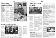 Síða 3