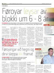 Síða 28
