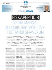 Síða 46