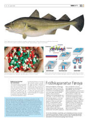 Síða 47